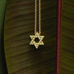 a jeweled, Jewish Star shaped necklace